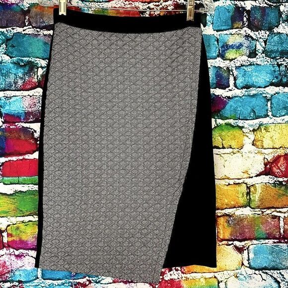 HD in Paris Anthropologie Penci Skirt Size 6 - Picture 1 of 6